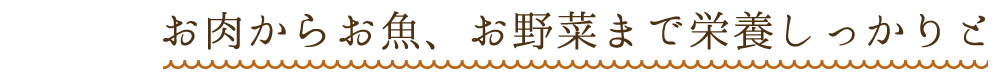 お肉からお魚、お野菜まで